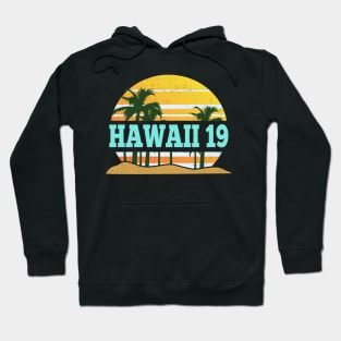 2019 Hawaii Retro Vintage Distressed Hawaiian Vacation Hoodie